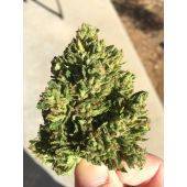  Frosted Lime - Smokable Flower - Price per 1 lbs. - 100 lbs. total, image 4 