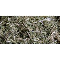  Dried Cherry Blossom - $14.00/LB - 1 MM LBS Available, image 1 