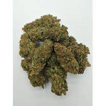  Suver Haze - Hand Trimmed Premium Buds -  Price per 1 lbs. - 1000+ lbs. total, image 1 