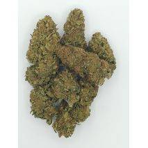  Suver Haze - Hand Trimmed Premium Buds -  Price per 1 lbs. - 1000+ lbs. total, image 4 