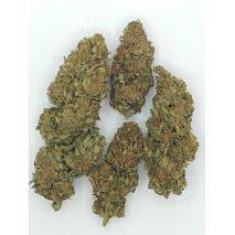  Suver Haze - Hand Trimmed Premium Buds -  Price per 1 lbs. - 1000+ lbs. total, image 6 