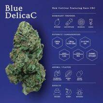  Blue DelicaC - CBC + CBD Ultra Rare Cannabinoid, image 1 