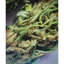  SALE!!!! Sweetened  - Cured and Trimmed Flower - Price per 1 lbs. - 100 lbs. total, image 1 