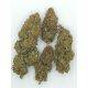  Suver Haze - Hand Trimmed Premium Buds -  Price per 1 lbs. - 1000+ lbs. total, image 6 